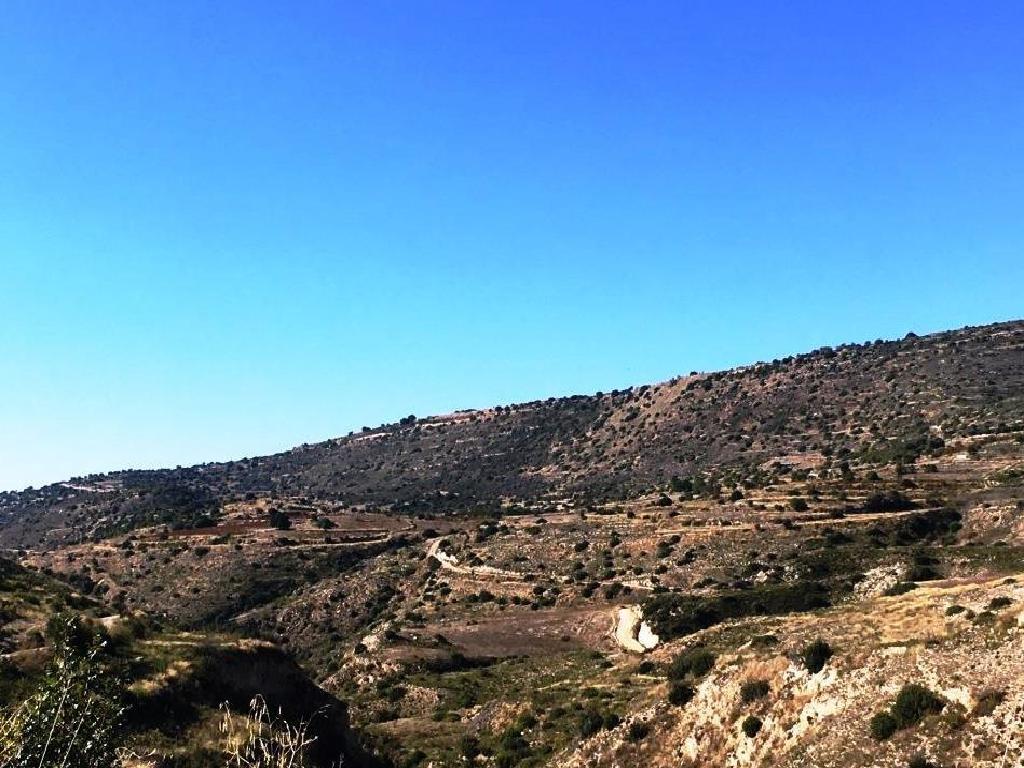 Field-Pachna-PR34623