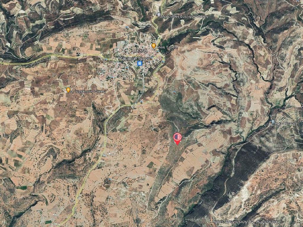 Field-Pachna-PR34623