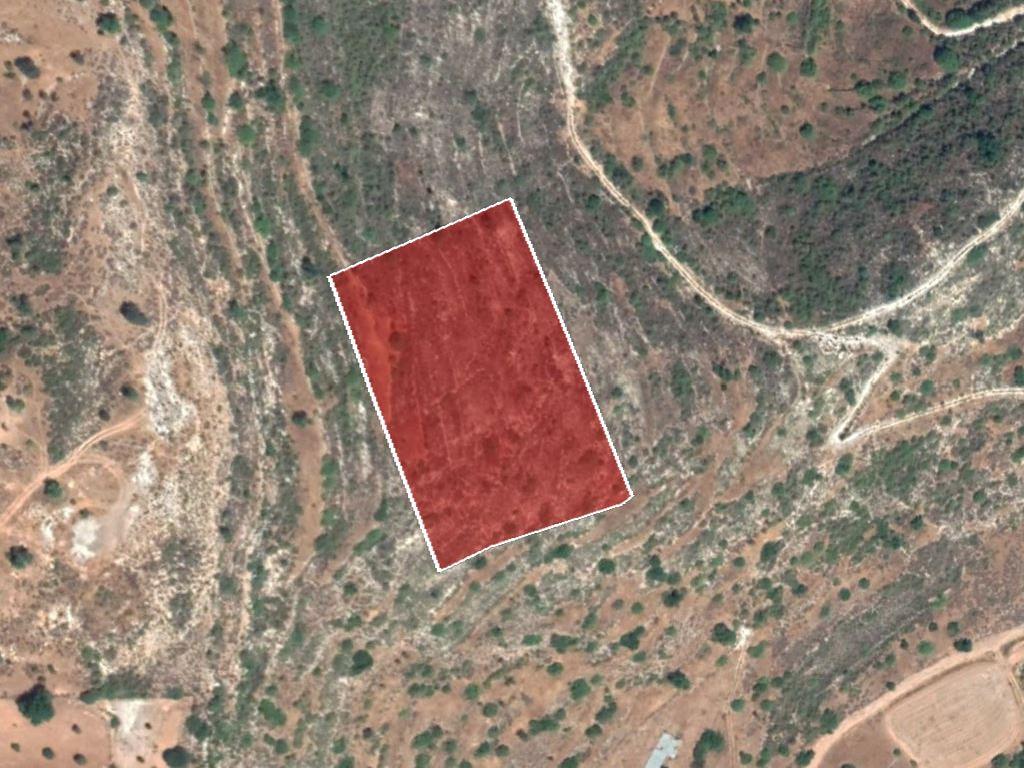 Field-Pachna-PR34623