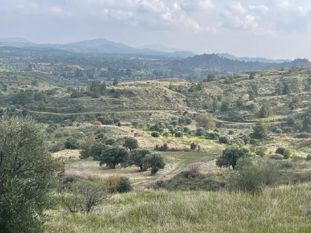 Field-Kapedes-PR35065