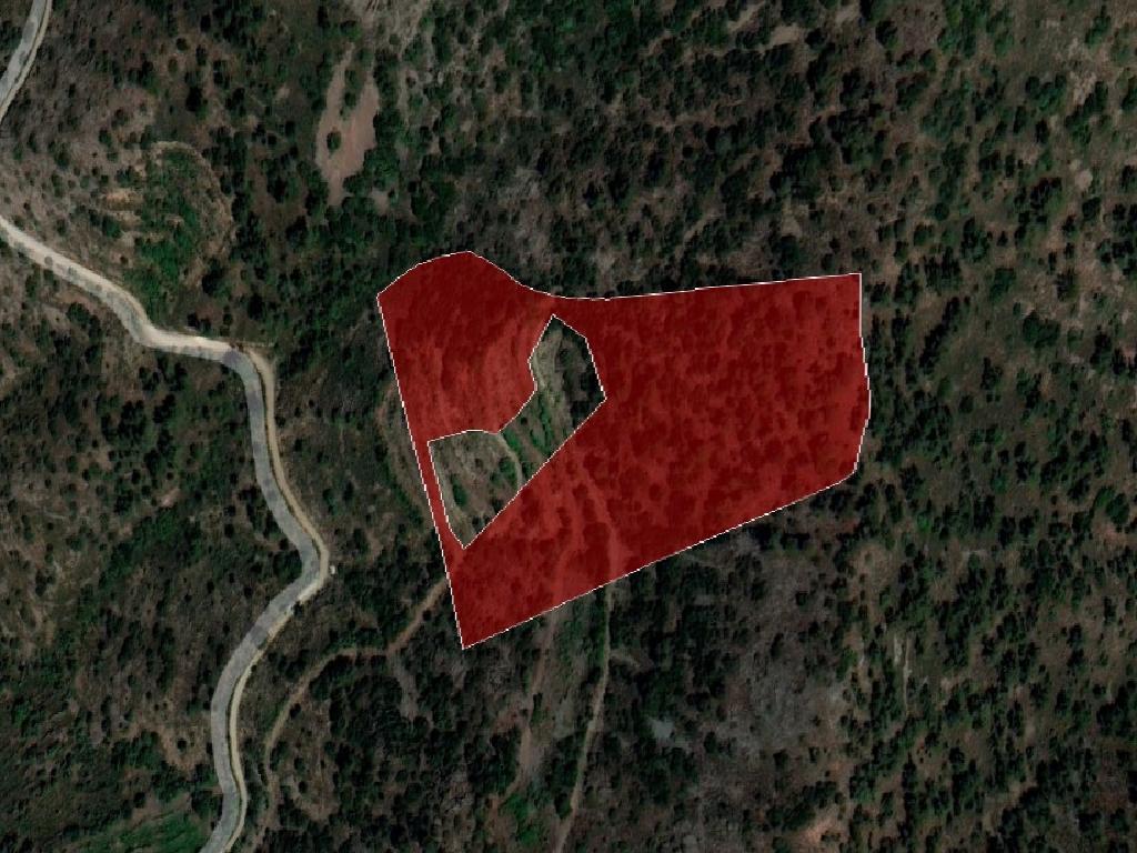 Field-Farmakas-PR37395