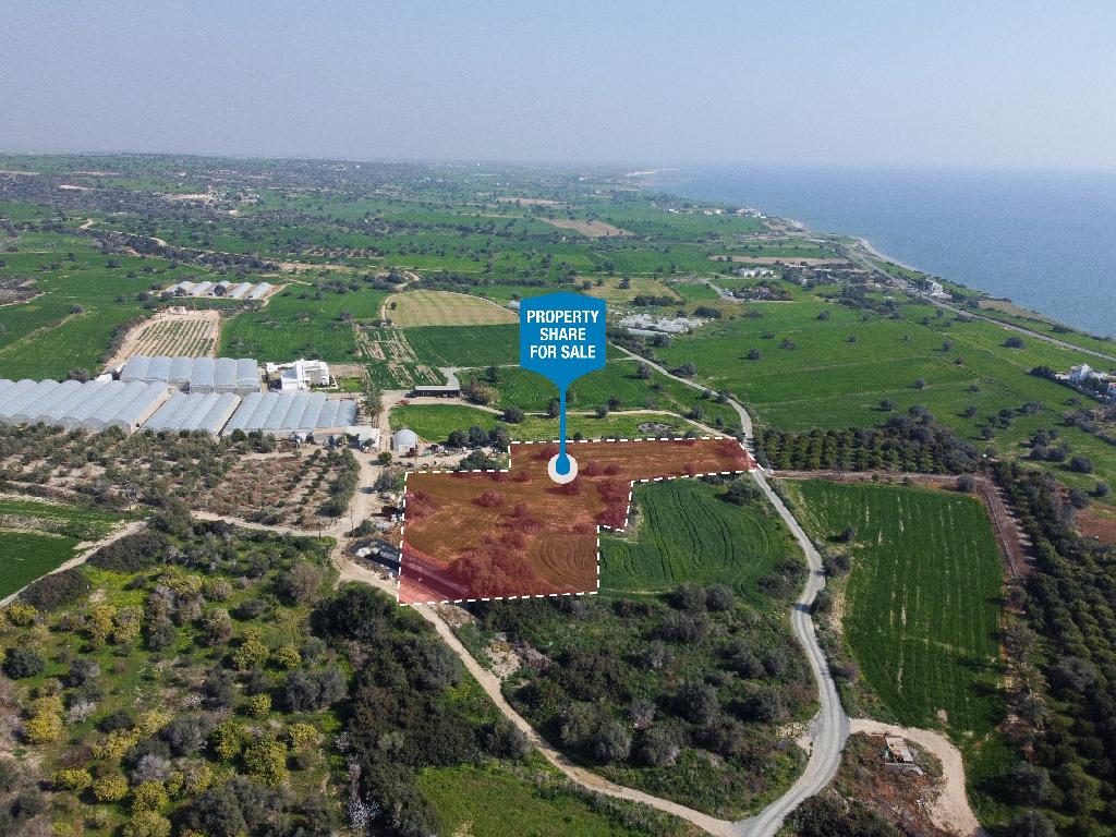 Field (Share)  - Agios Theodoros, Larnaca