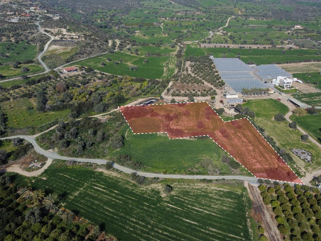 Field (Share)  - Agios Theodoros, Larnaca