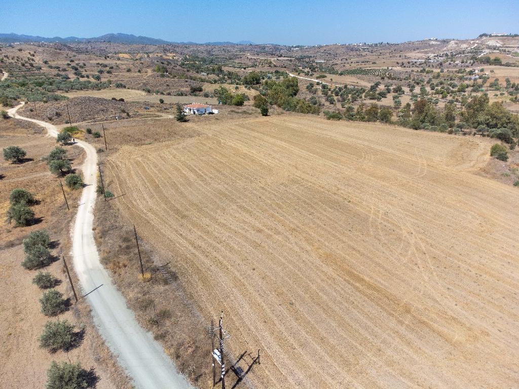 Field-Analiontas-PR38749