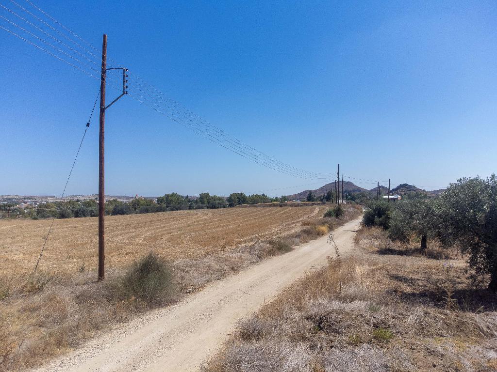 Field-Analiontas-PR38749