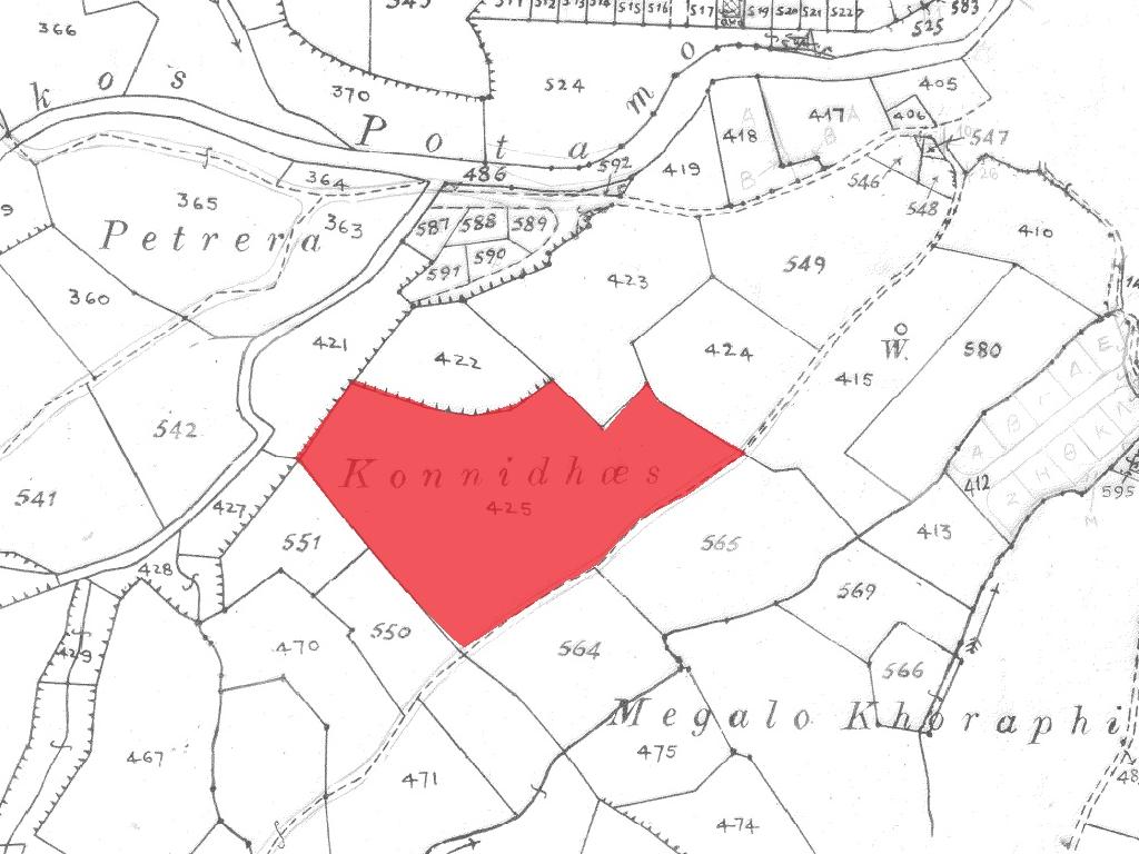 Field-Analiontas-PR38749