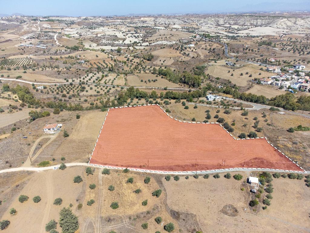 Field-Analiontas-PR38749