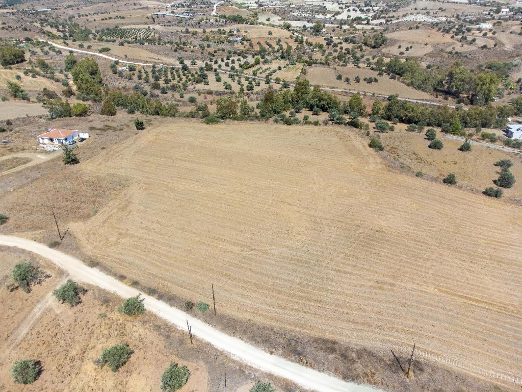 Field-Analiontas-PR38749
