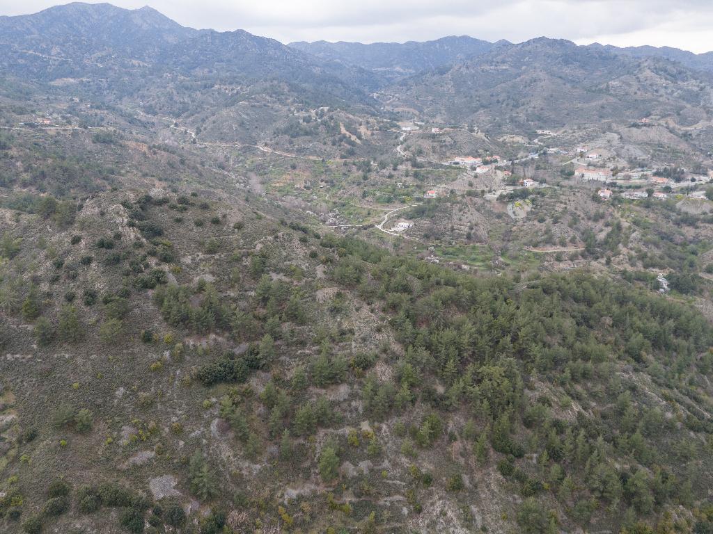 Field-Palaichori Orinis-PR38802