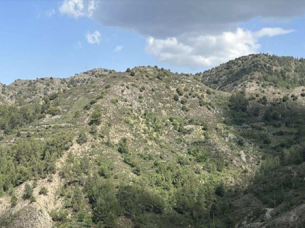 Field-Palaichori Orinis-PR38802
