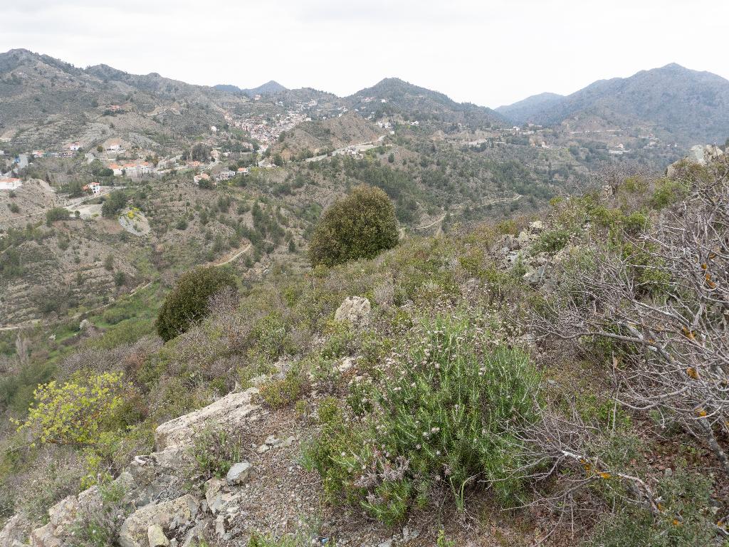 Field-Palaichori Orinis-PR38802