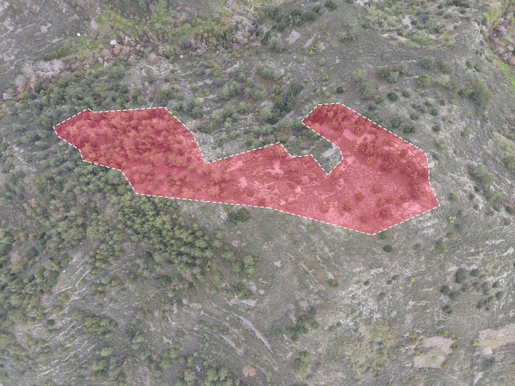 Field-Palaichori Orinis-PR38802