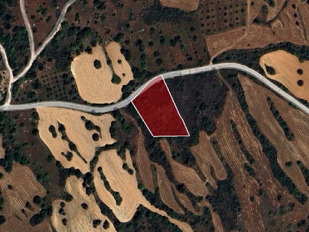 Field-Kritou Terra-PR39375