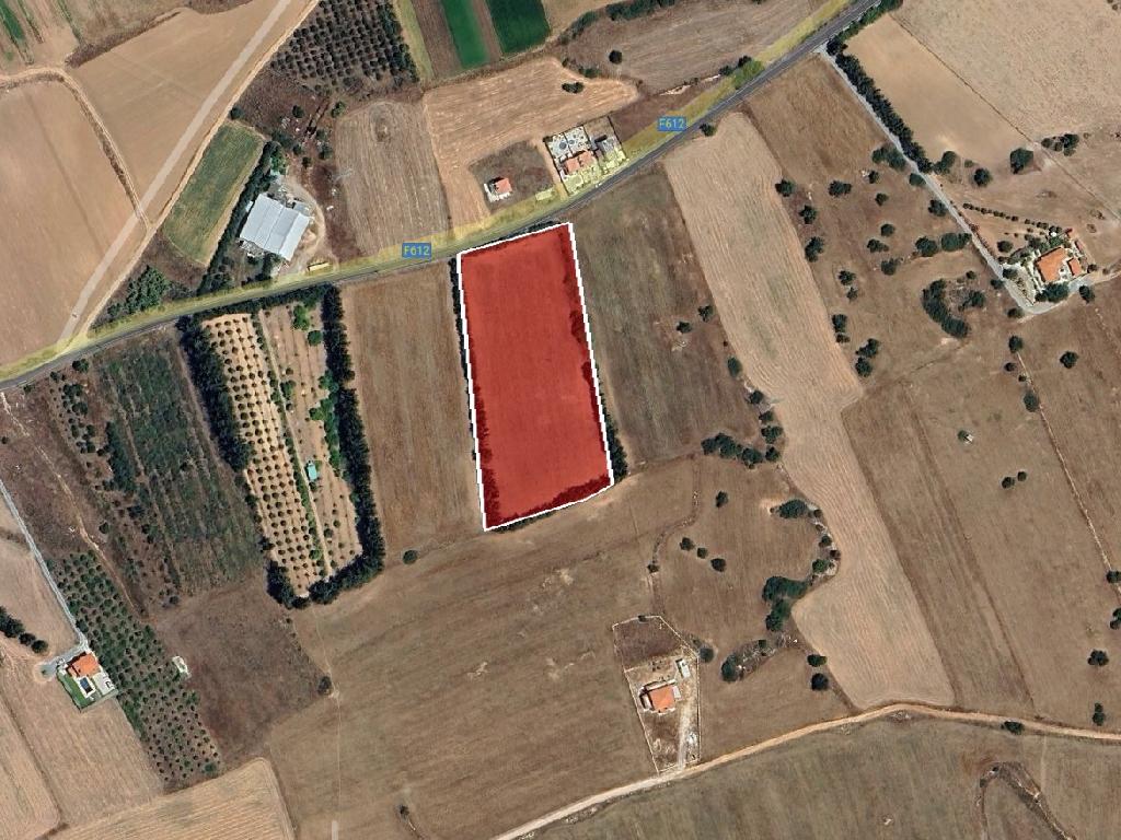 Field-Kouklia-PR40593
