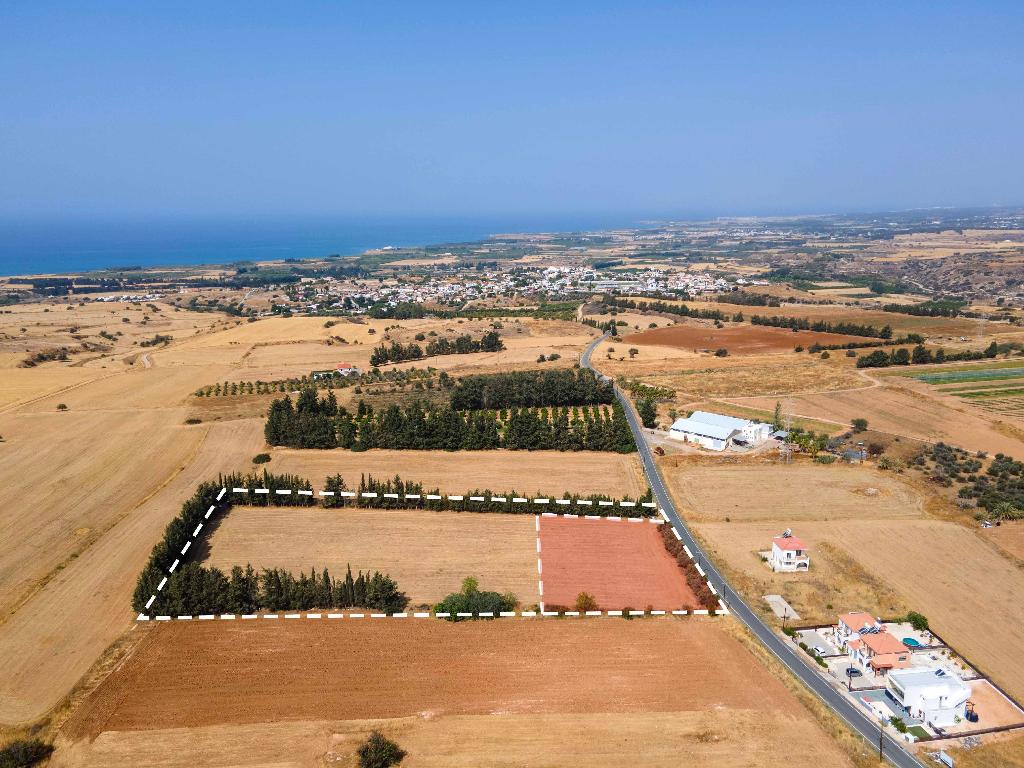 Field-Kouklia-PR40593