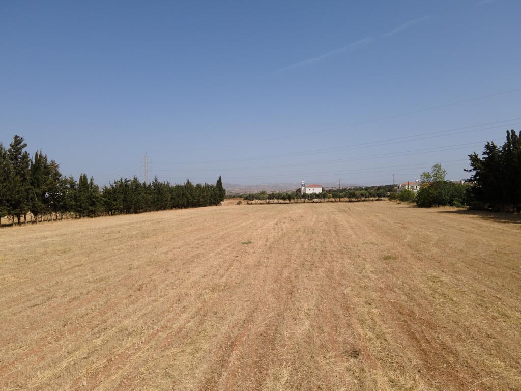 Field-Kouklia-PR40593