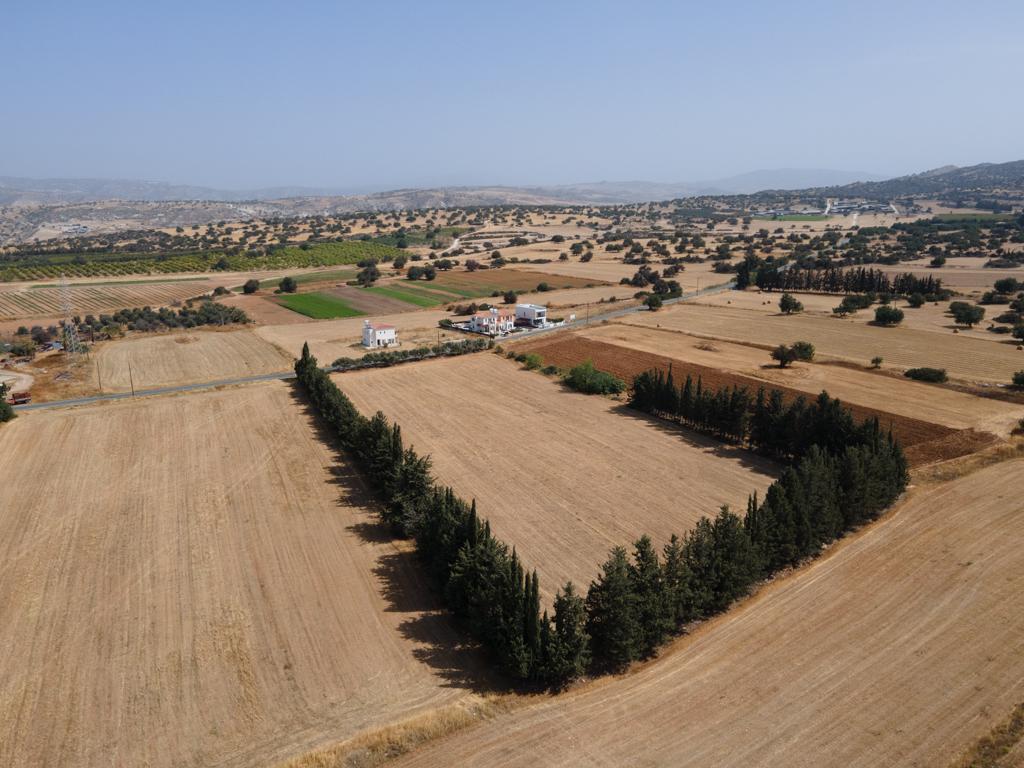 Field-Kouklia-PR40593