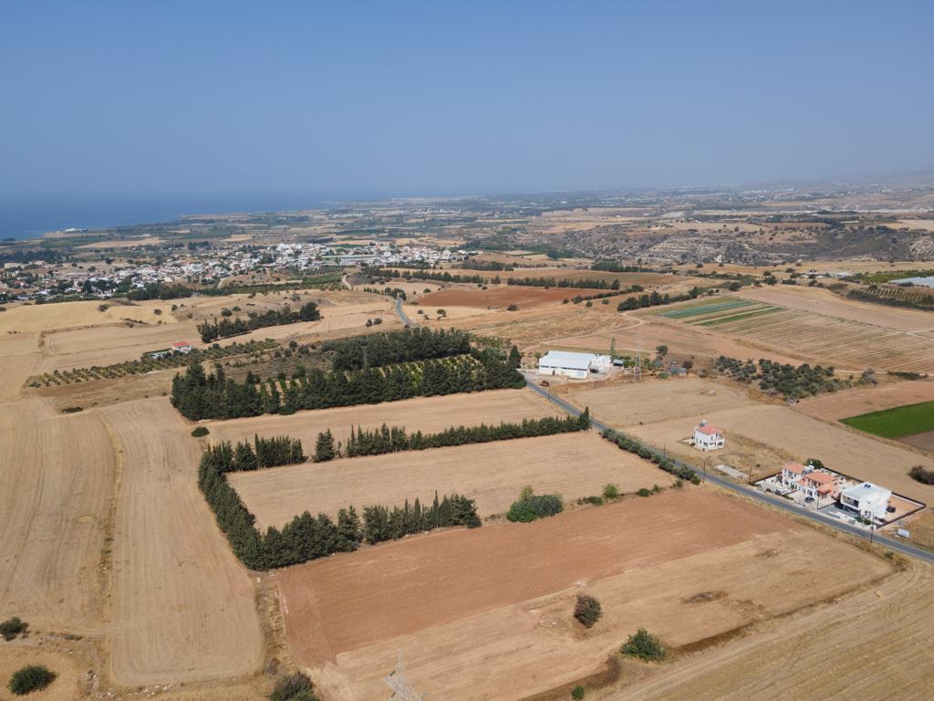 Field-Kouklia-PR40593