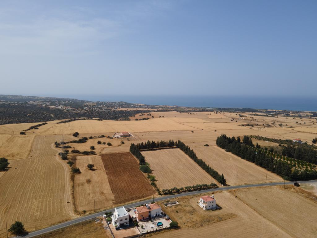 Field-Kouklia-PR40593