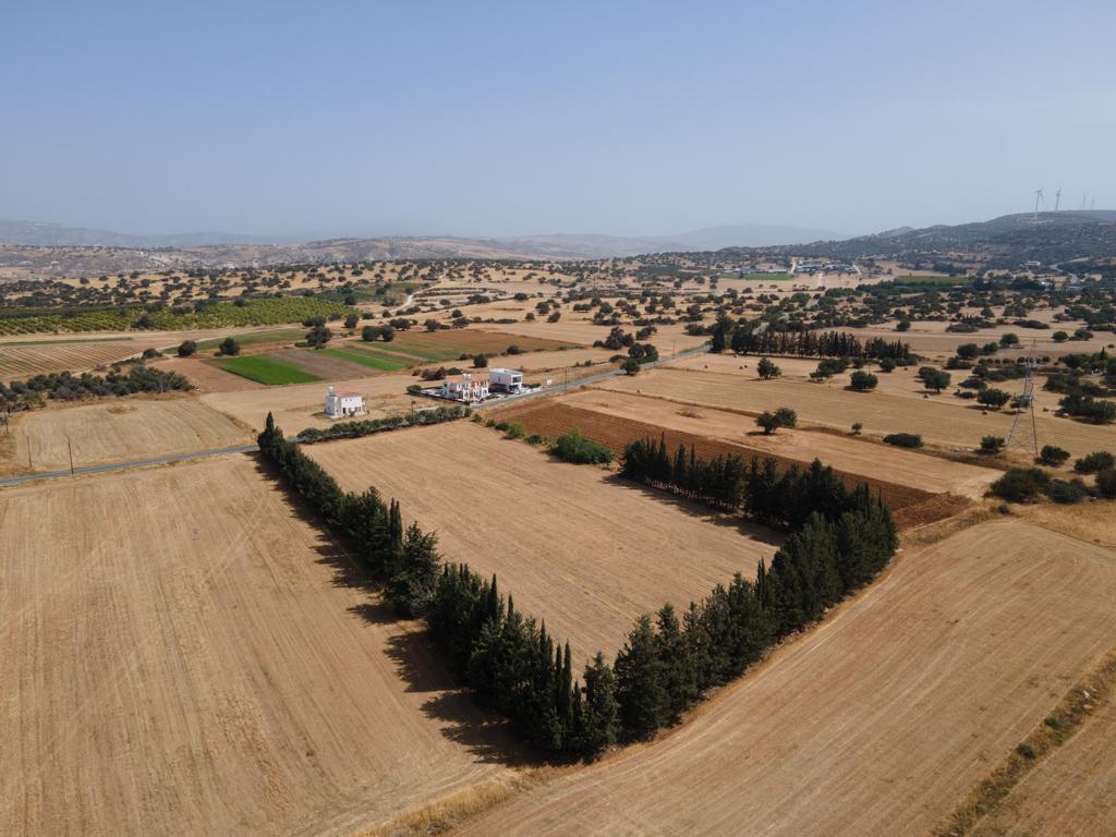 Field-Kouklia-PR40593