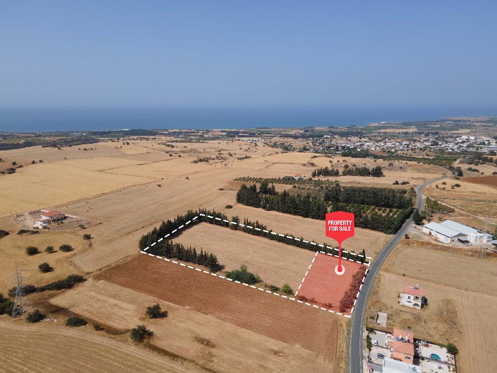 Field-Kouklia-PR40593