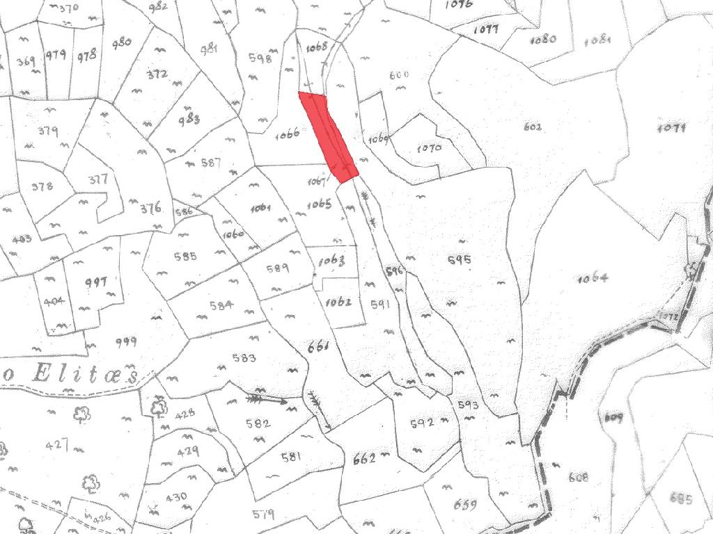 Field-Pachna-PR41376