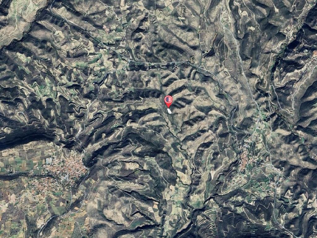 Field-Pachna-PR41376