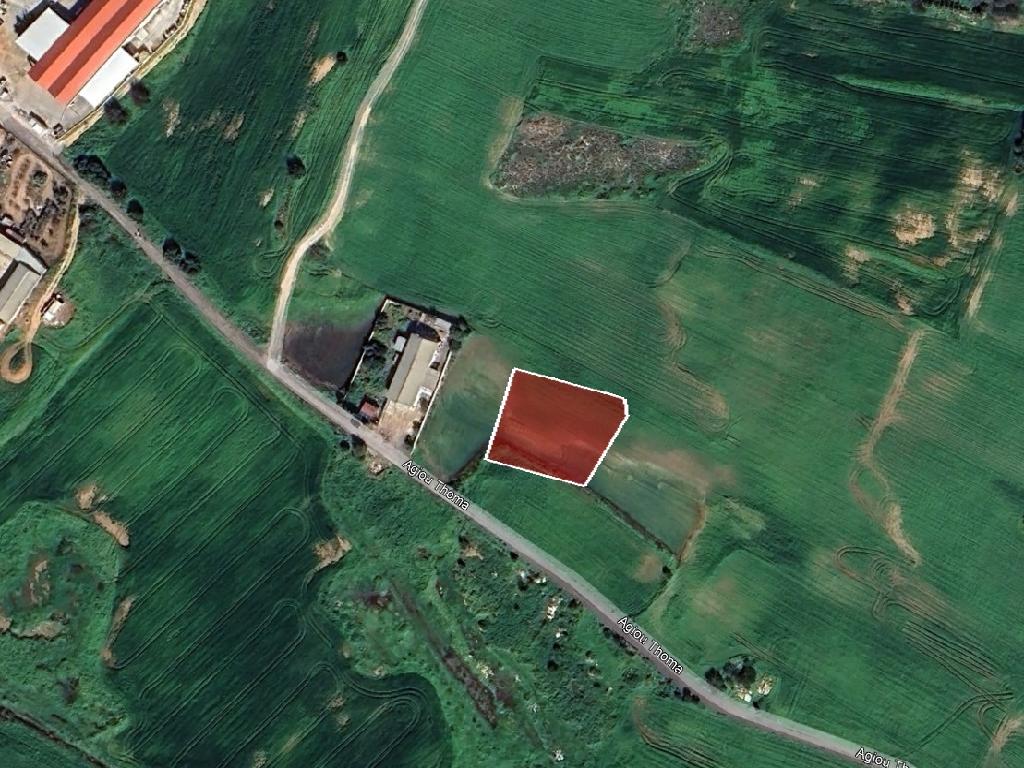 Field-Paralimni-PR41619