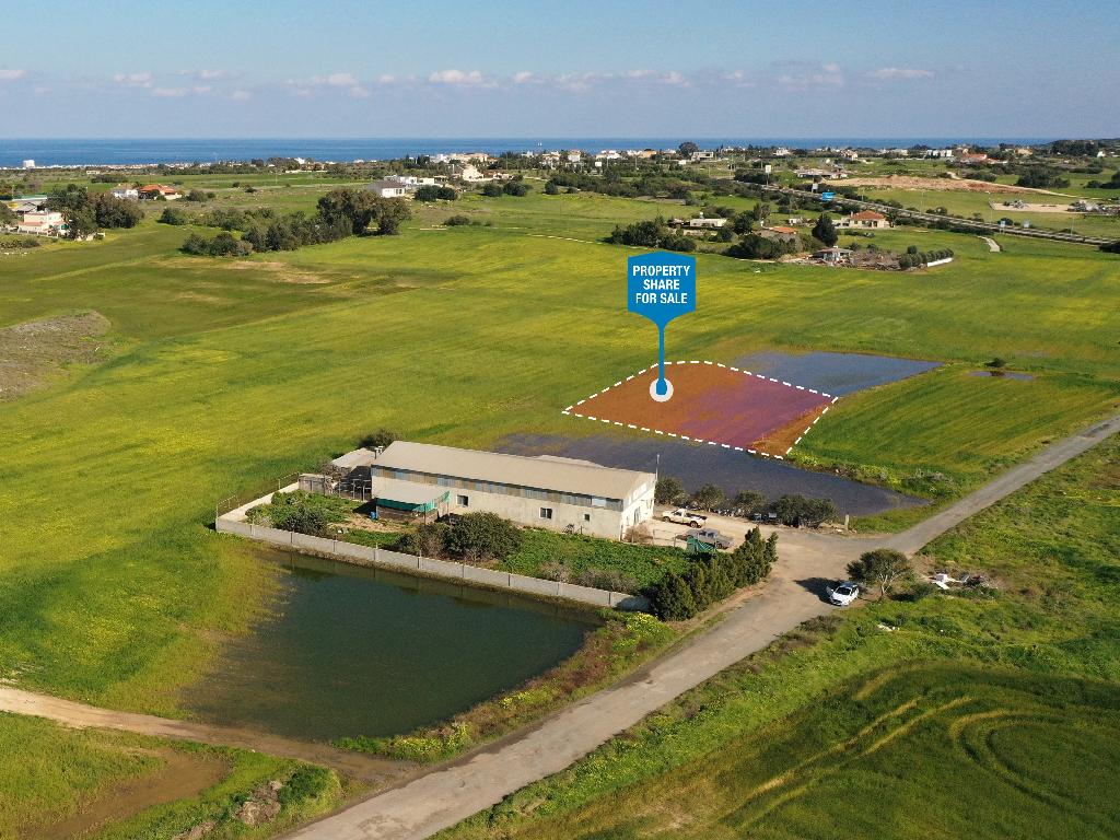 Field-Paralimni-PR41619