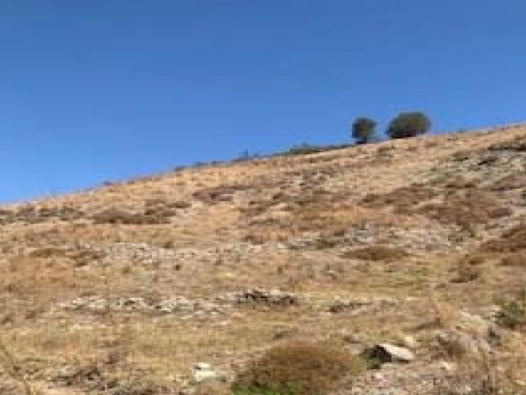 Field-Episkopi-PR42443