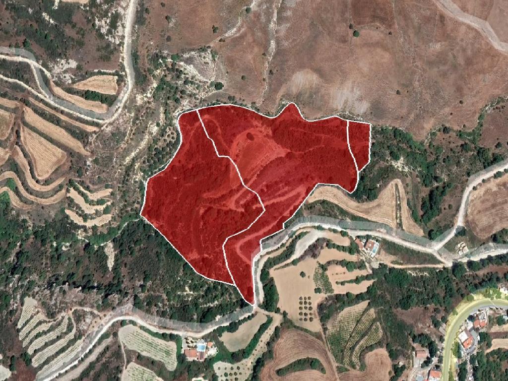 Field-Psathi-CP10231