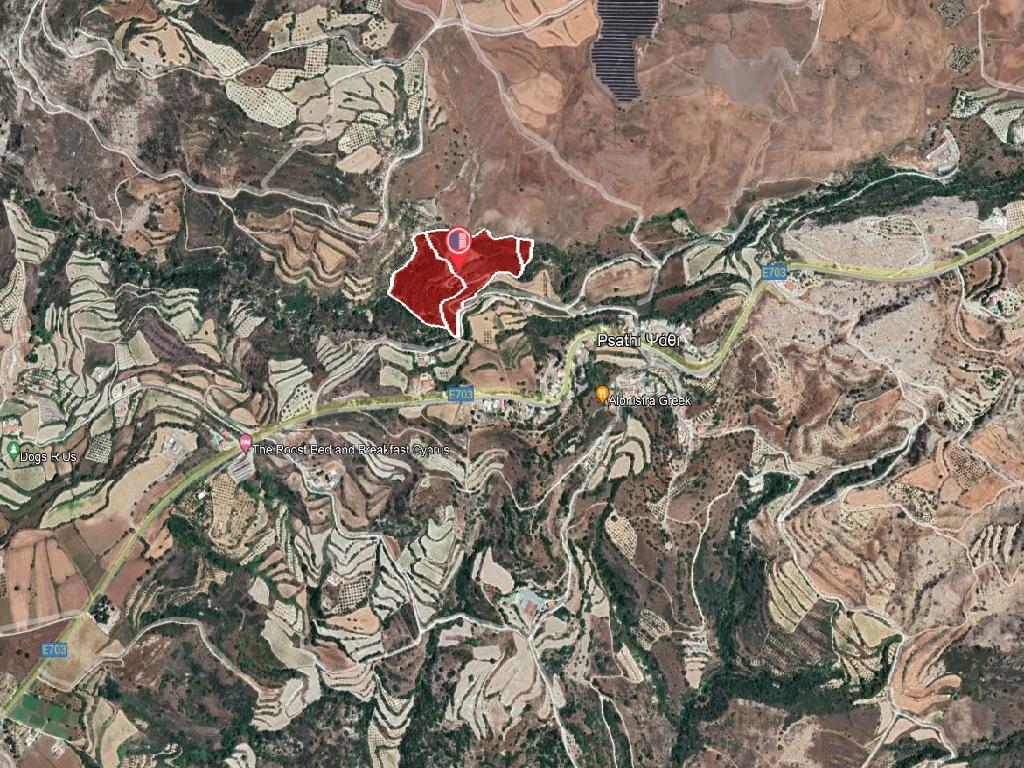 Field-Psathi-CP10231