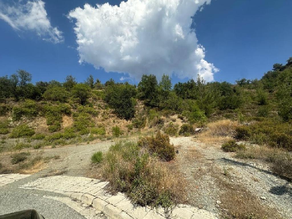 Field-Agros-PR45223