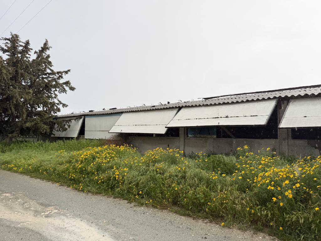 Livestock Buildings - Aradippou, Larnaca