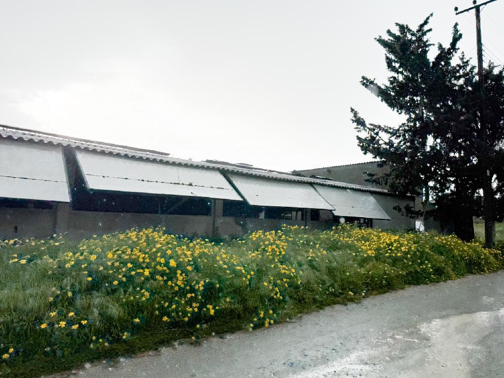 Livestock Buildings - Aradippou, Larnaca