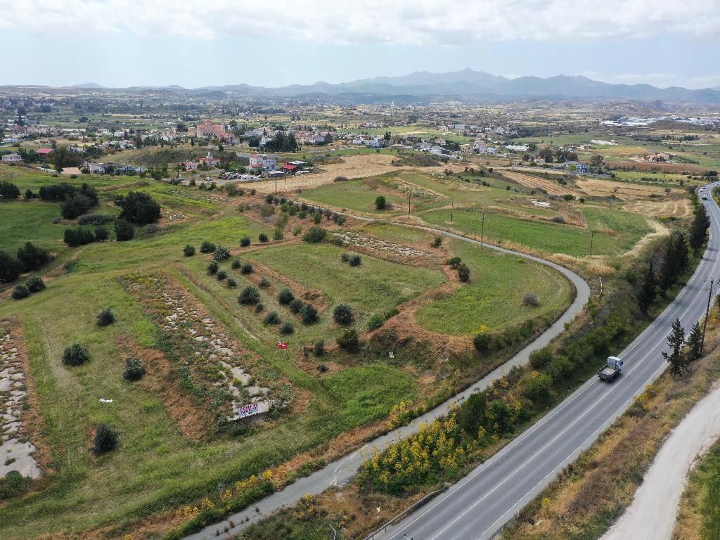 Field - Anageia, Nicosia