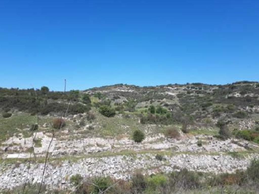 Field - Polemi, Paphos