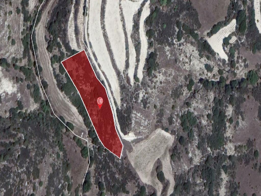 Field-Polemi-PR13258
