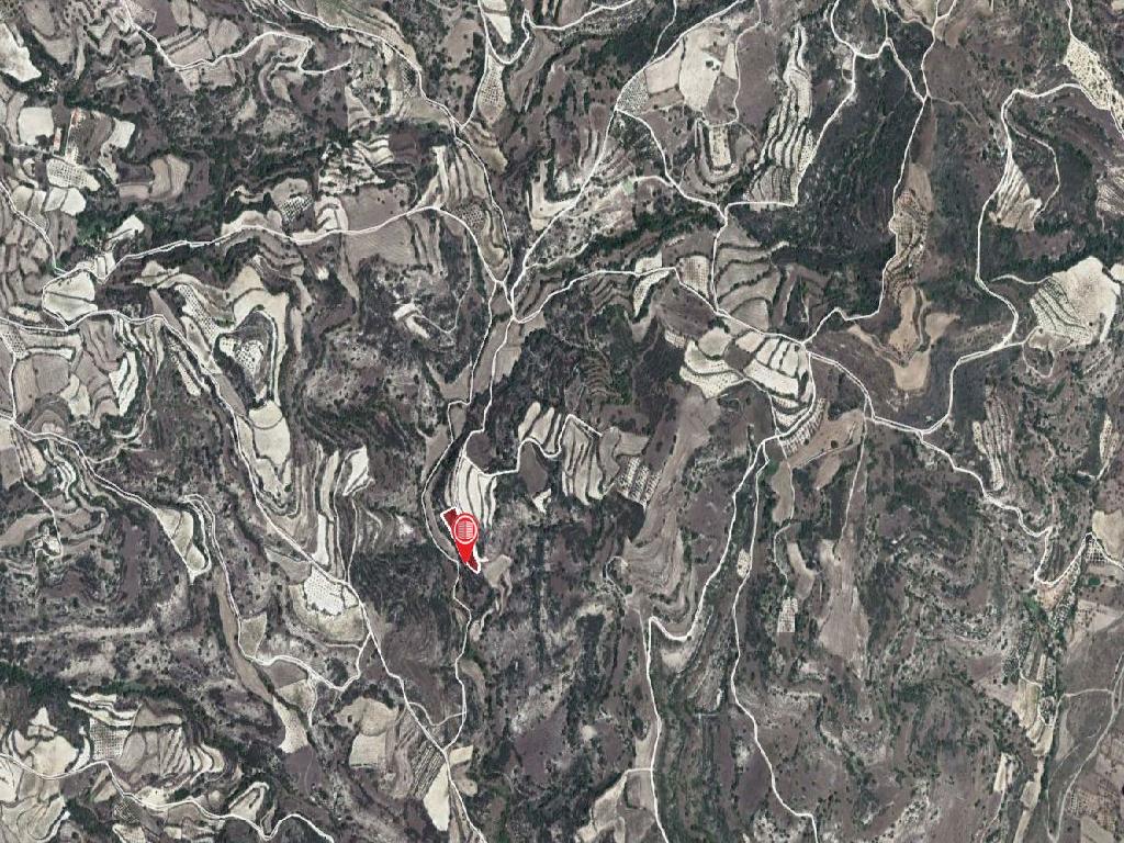 Field-Polemi-PR13258