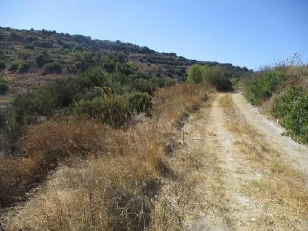Field-Polemi-PR13258