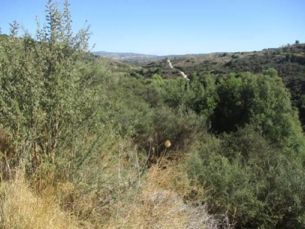 Field-Polemi-PR13258
