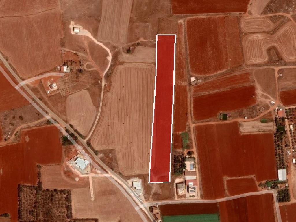Field-Liopetri-PR34890