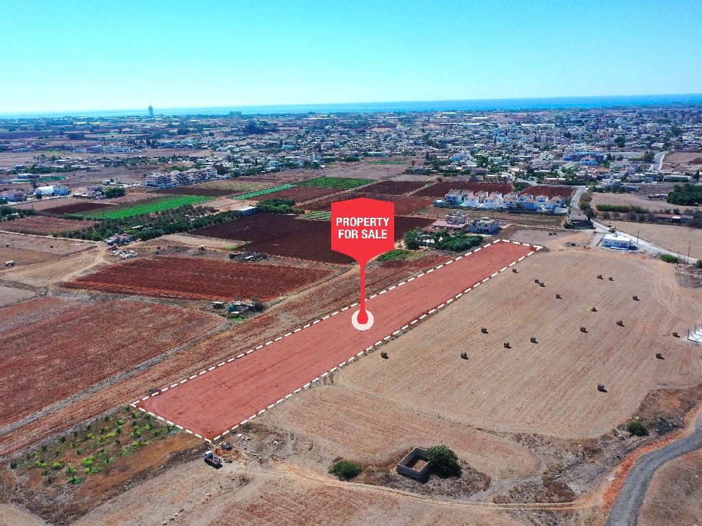 Field-Liopetri-PR34890