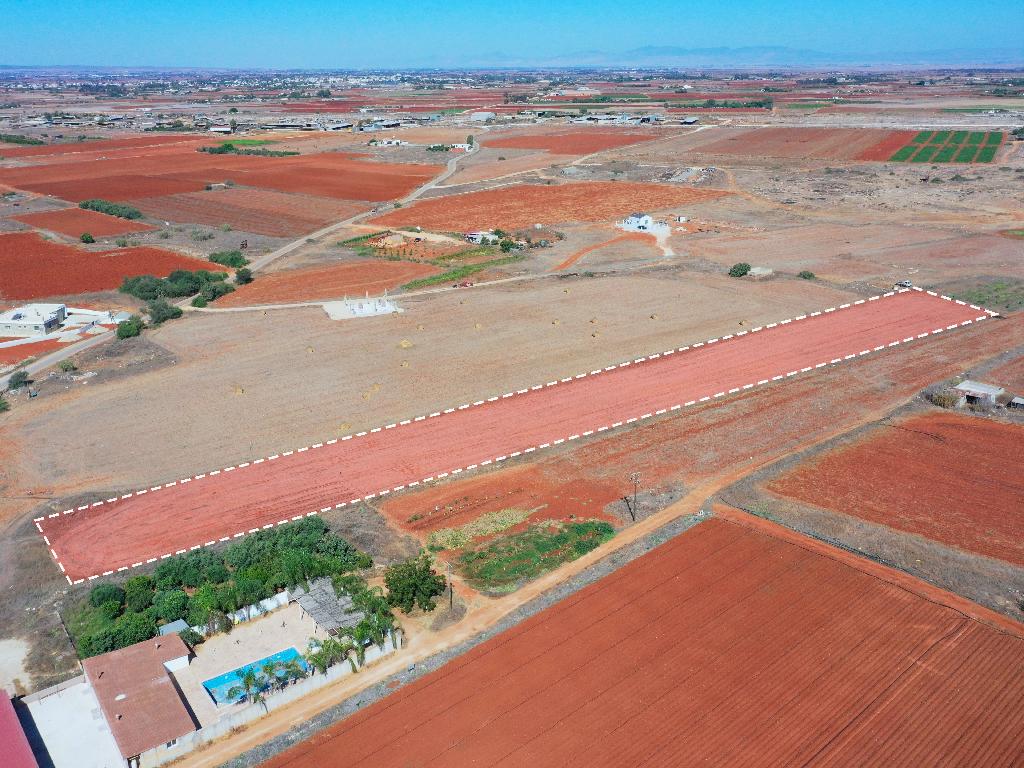 Field-Liopetri-PR34890