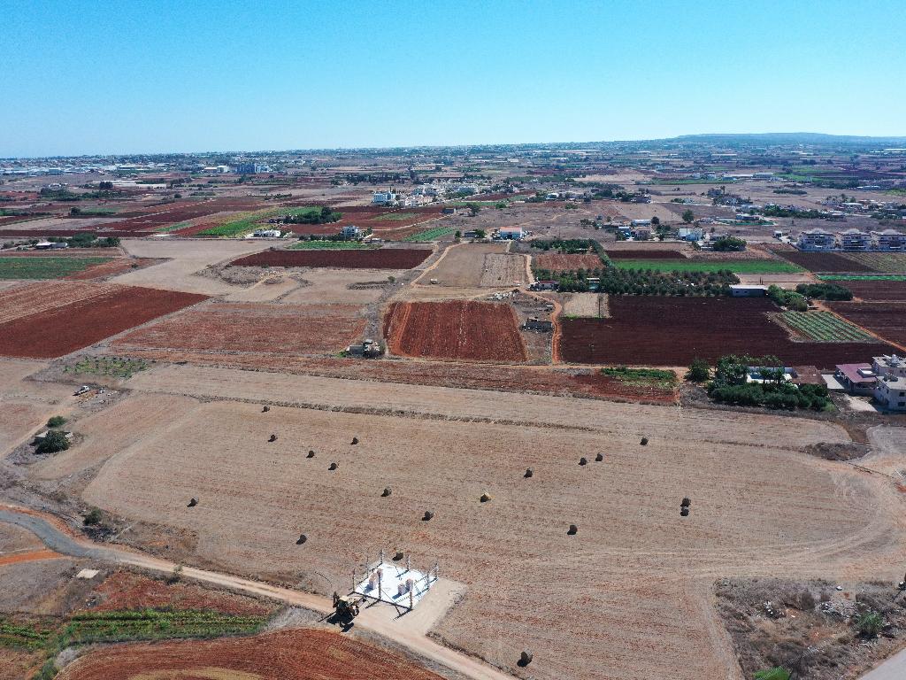 Field-Liopetri-PR34890