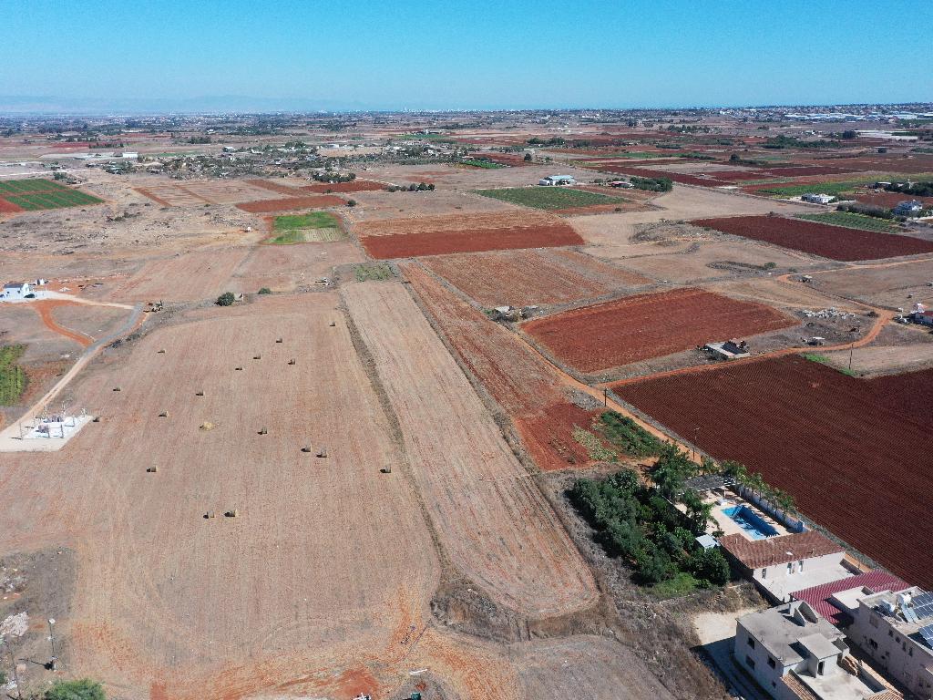 Field-Liopetri-PR34890
