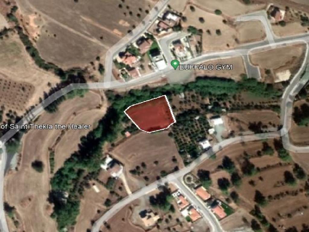 Field (share) - Mosfiloti, Larnaca