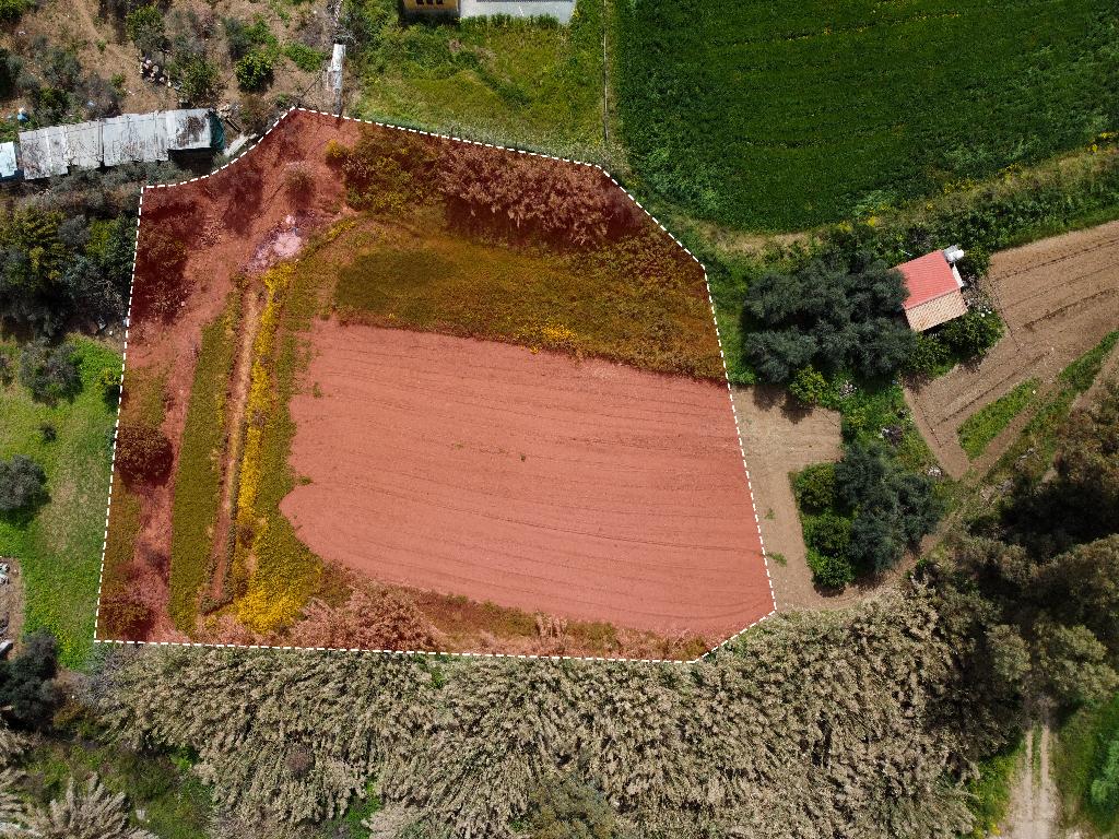 Field-Mosfiloti-PR35174
