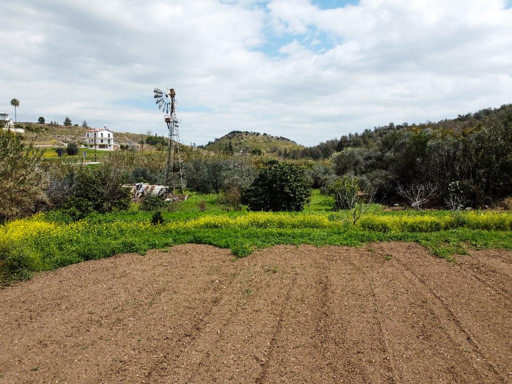 Field-Mosfiloti-PR35174