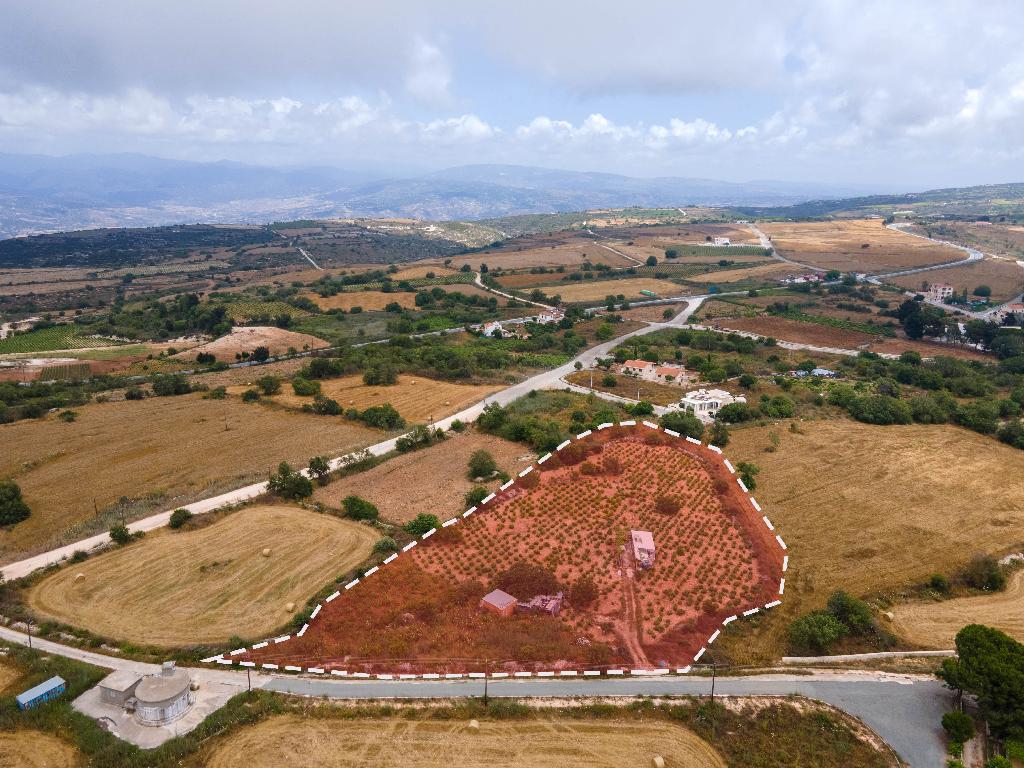 Field-Kato Arodes-PR34672
